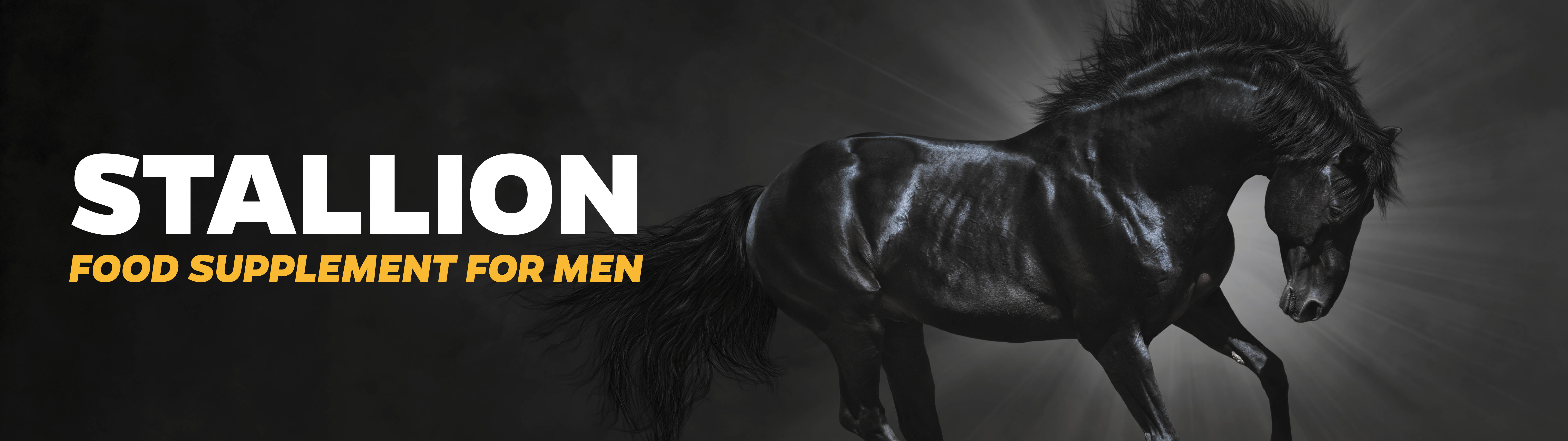 Stallion