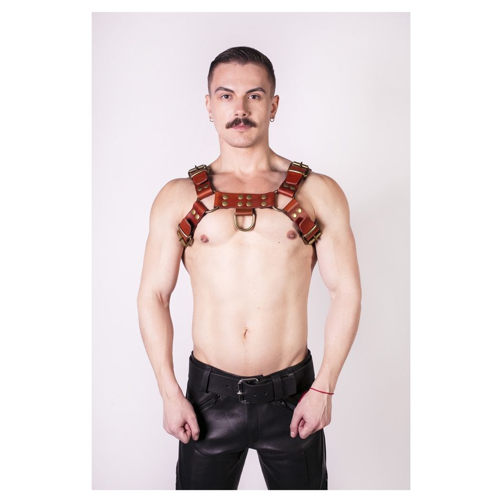 Prowler RED Butch Harness Brown/Brass Large