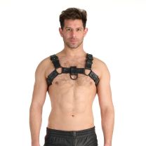 Prowler RED Bull Harness Black with Metal Fittings XXL