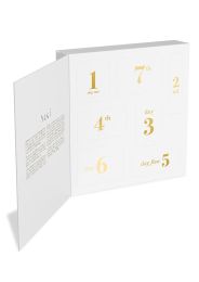 Baci 7 Day Hosiery Adventure Gift Box Queen Size