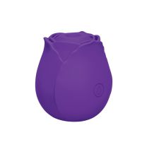 Me You Us Signature The Tapping Rosebud Purple