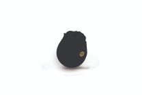 SECRET KISSES ROSEGASM AIR BLACK