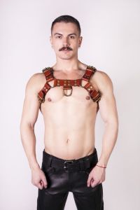 Prowler RED Leather Butch Harness Brown Brass