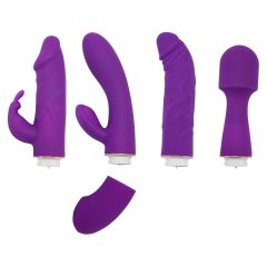 Private Collection Kit with 4 Toys Purple