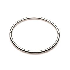 Master Series Possession Stainless Steel Locking Collar - Large