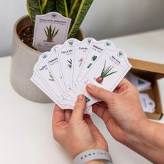 Houseplant Care Tags