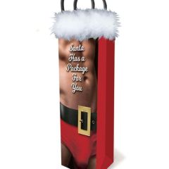 Little Genie Santa Has A Big Package For You, Gift Bag