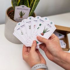 Houseplant Care Tags