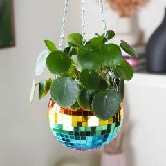 Disco Ball Hanging Planter Rainbow (6in)