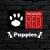 Prowler RED Puppies Prowler RED Puppies